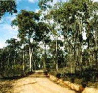 Paddys Ranges State Park - Accommodation Directory
