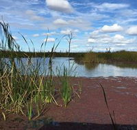 Gwydir Wetlands - Accommodation Directory