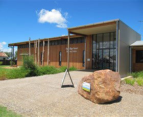 Pilliga Forest - Accommodation Directory 0