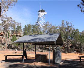 Pilliga Forest - Accommodation Directory 2