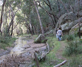Pilliga Forest - Accommodation Directory 3