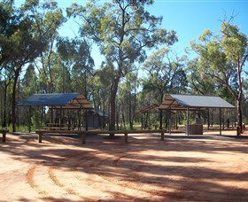 Pilliga Forest - Accommodation Directory 6
