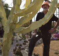 Cactus Country - Accommodation Directory