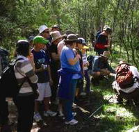 Warrumbungle National Park Discovery Program - Accommodation Directory