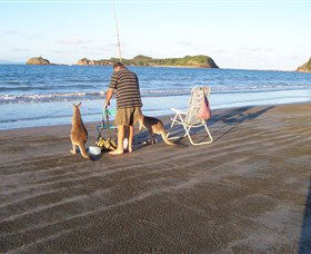 Halliday Bay QLD Accommodation Directory