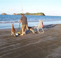 Cape Hillsborough National Park - Accommodation Directory