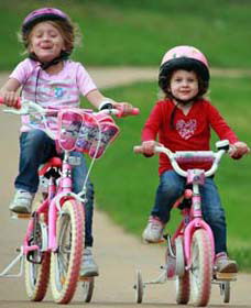 Tracker Riley Cycleway - Accommodation Directory 1