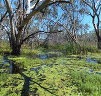 Macquarie Valley Trails - Accommodation Directory