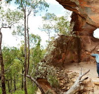 Pilliga National Park - Accommodation Directory