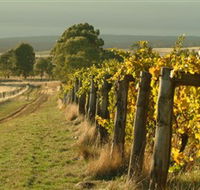 Captains Creek Organic Wines - Accommodation Directory