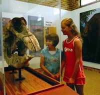 Australian Museum Diprotodon Exhibition - Accommodation Directory