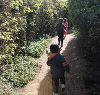 The Tangled Maze  Mistydowns Nursery - Accommodation Directory