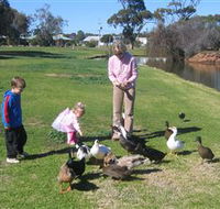 Roy Little Park Merredin - Accommodation Directory