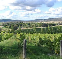 Sassy Wines - Accommodation Directory