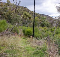 Lynchs loop trail - Accommodation Directory