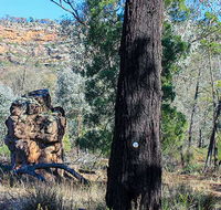 Eualdrie walking track - Accommodation Directory