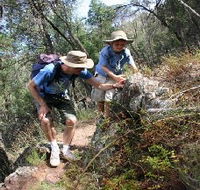 Mount Arthur Reserve - Accommodation Directory