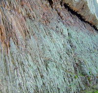 The Rock Nature Reserve - Kengal Aboriginal Place - Accommodation Directory