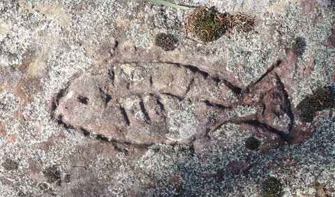 Terry Hie Hie Aboriginal Area - Accommodation Directory 3