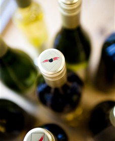 Charles Sturt University Winery Wagga Wagga - Accommodation Directory 2