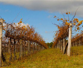 Charles Sturt University Winery Wagga Wagga - Accommodation Directory 3