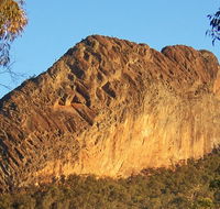 Kaputar scenic drive - Accommodation Directory