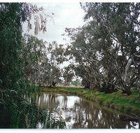 Henty Government Dam Nature Reserve - Accommodation Directory