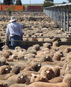 Livestock Marketing Centre - Accommodation Directory 0