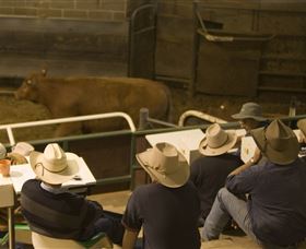 Livestock Marketing Centre - Accommodation Directory 2