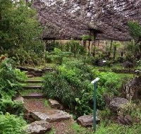 Burrendong Botanic Garden and Arboretum - Accommodation Directory