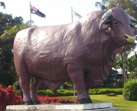 Rockhampton Bull Statues - Accommodation Directory 0