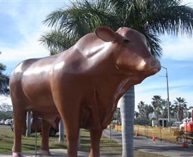 Rockhampton Bull Statues - Accommodation Directory 3