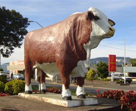 Rockhampton Bull Statues - Accommodation Directory 2