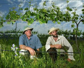 Rosnay Organic Farm And Vineyard - Accommodation Directory 1