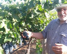 Rosnay Organic Farm And Vineyard - Accommodation Directory 6