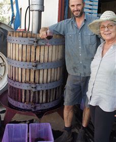 Rosnay Organic Farm And Vineyard - Accommodation Directory 5