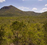 Kutini-Payamu Iron Range National Park CYPAL - Accommodation Directory