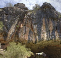 Borenore Karst Conservation Reserve - Accommodation Directory