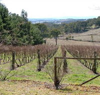 Habitat Vineyard - Accommodation Directory