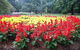Cook Park - thumb 1