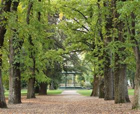 Cook Park - Accommodation Directory 0