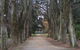 Cook Park - thumb 3