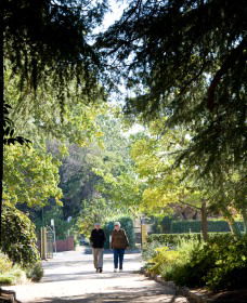 Cook Park Heritage Walk - Accommodation Directory 0