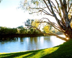 Albury - Murray River Precinct - Accommodation Directory 0