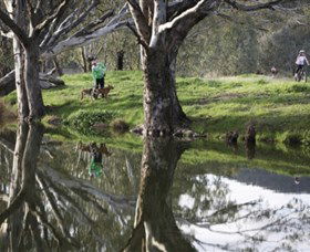 Albury - Murray River Precinct - Accommodation Directory 3