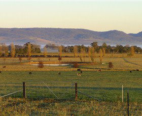 Holbrook NSW Accommodation Directory