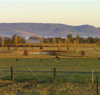 Holbrook Landcare Self-Drive Eco Tour - Accommodation Directory