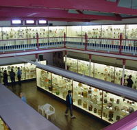 National Museum of Australian Pottery - Accommodation Directory