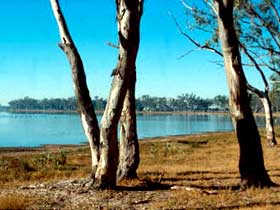 Lake Broadwater Conservation Park - Accommodation Directory 0
