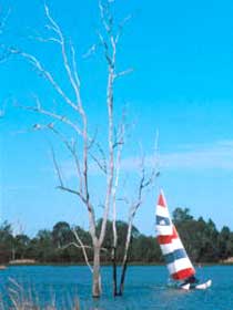 Lake Broadwater Conservation Park - Accommodation Directory 2